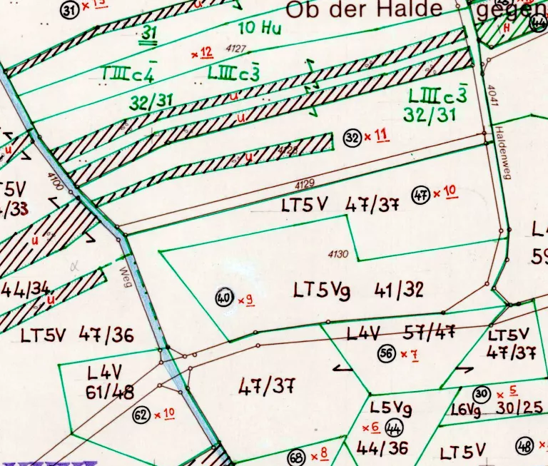 Ausschnitt aus einer gezeichneten Bodenschaetzungskarte mit eingetragenen Klassenzeichen und Bodenwertzahlen