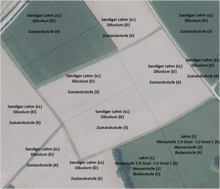 Auschnitt aus einer digitalen Bodenschätzungskarte mit Texteinträgen zu Bodenart, Entstehungsart und Zustandsstufe