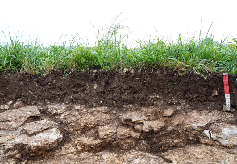 Das Bild zeigt ein Bodenprofil unter Grasbewuchs. Unter 20 cm dunklem Boden folgt helles Gestein.