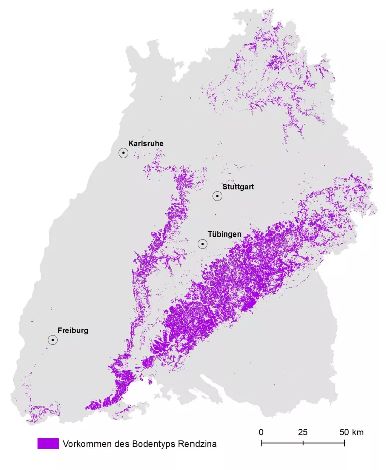 Die Grafik zeigt den Umriss von Baden-Württemberg. Die Verbreitung des Bodentyps Rendzina ist farbig dargestellt.